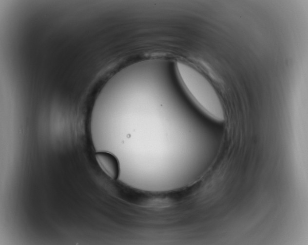 X0000099980543200805231025