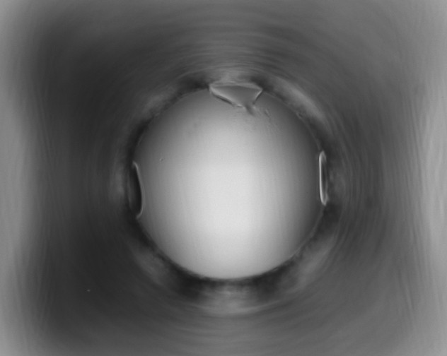 X0000099980546200805231025