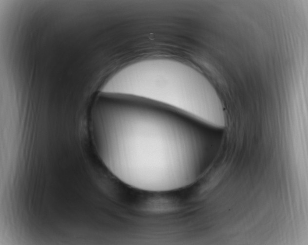 X0000099980547200805231025