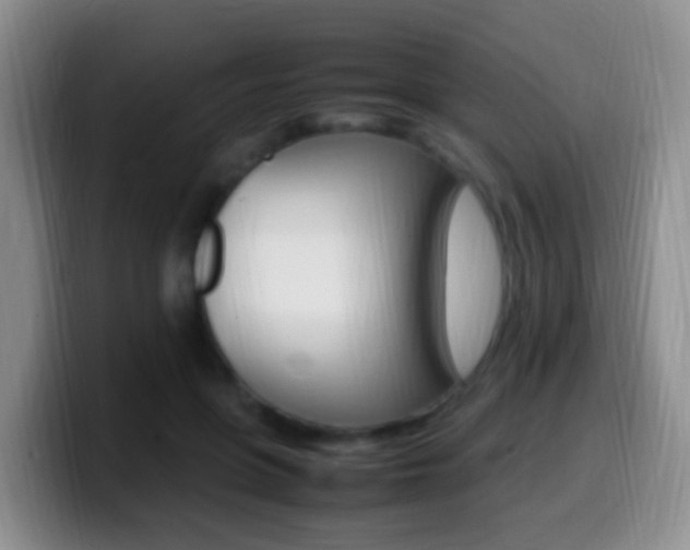 X0000099980551200805231025