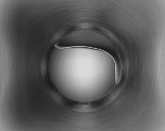 X0000099980552200805231025