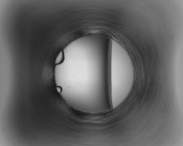 X0000099980555200805231025