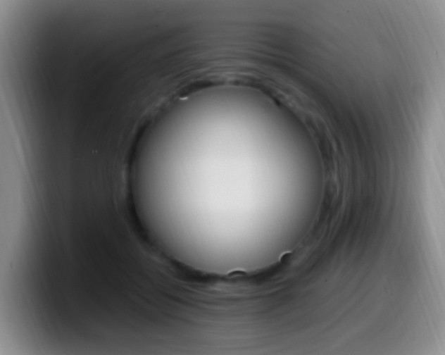 X0000099980556200805231025