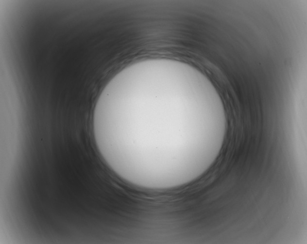 X0000099980558200805231025