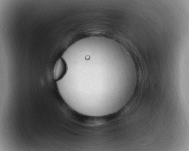 X0000099980559200805231025
