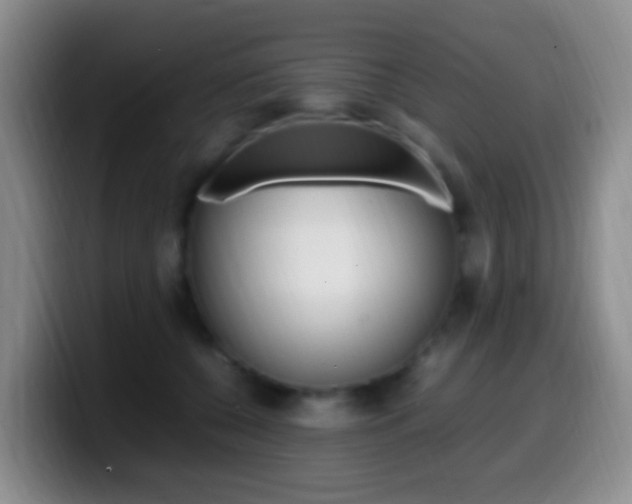 X0000099980560200805231025