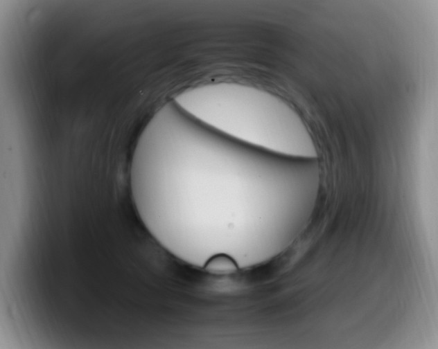 X0000099980561200805231025