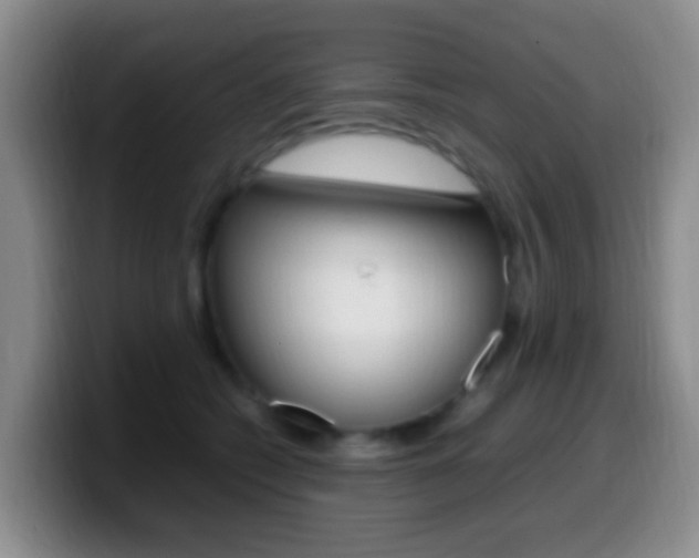 X0000099980562200805231025
