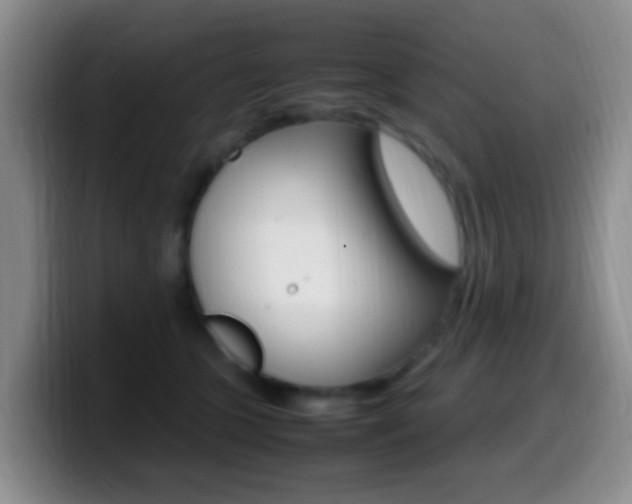X0000099980563200805231025