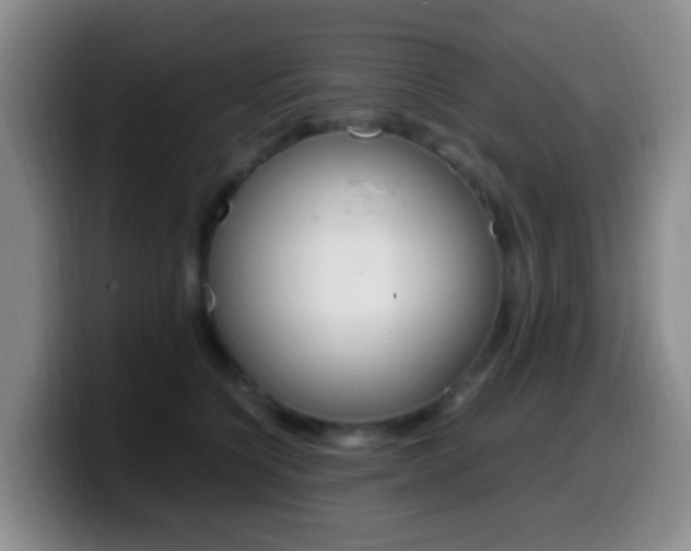 X0000099980564200805231025