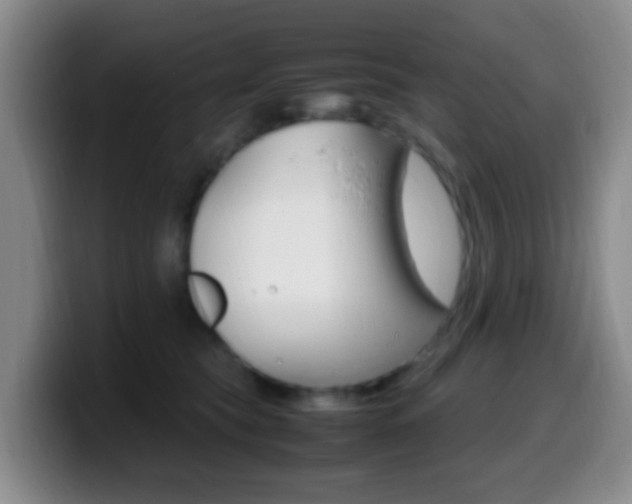 X0000099980565200805231025