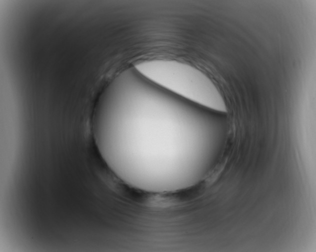 X0000099980568200805231025