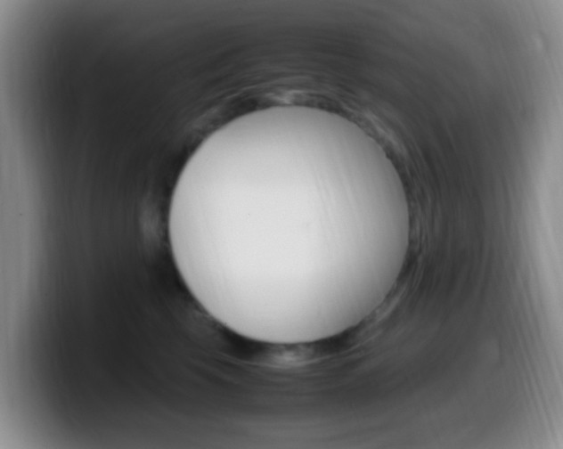 X0000099980569200805231025