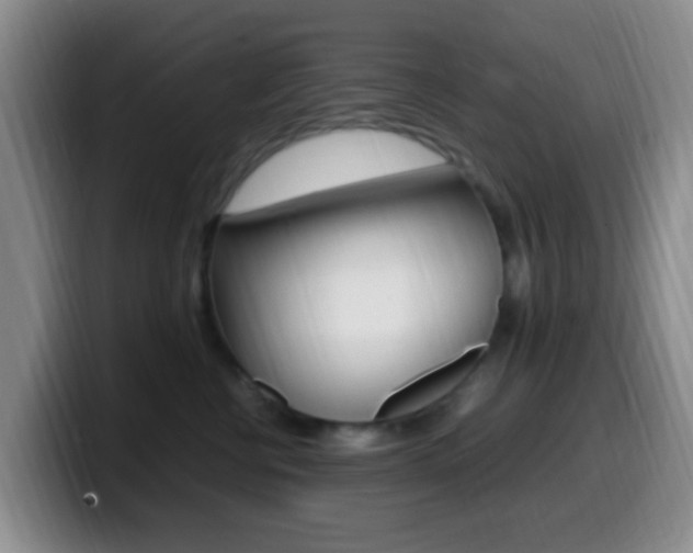 X0000099980570200805231025