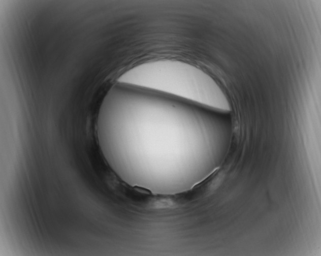 X0000099980572200805231025