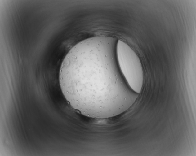 X0000099980573200805231025