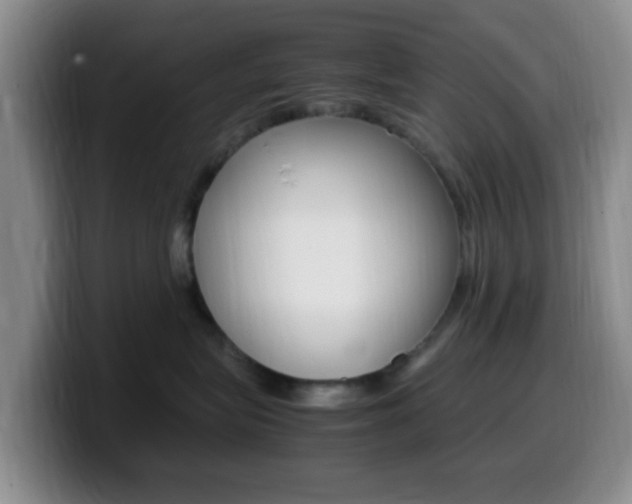 X0000099980575200805231026