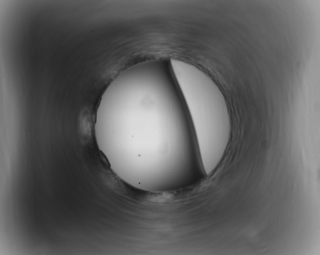 X0000099980576200805231026