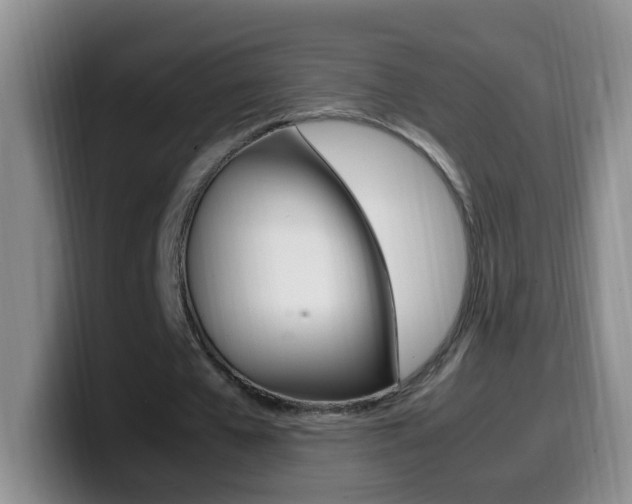 X0000099980577200805231025