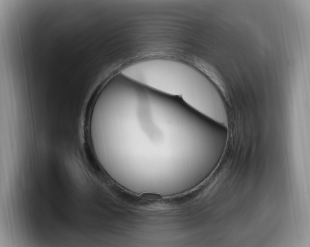 X0000099980578200805231025