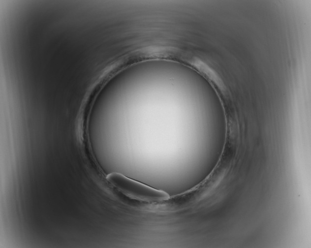 X0000099980581200805231025