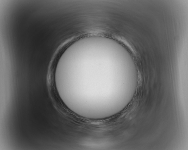 X0000099980583200805231025