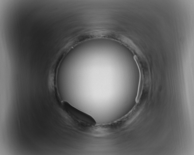 X0000099980585200805231025