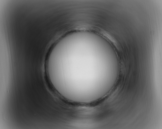 X0000099980586200805231025