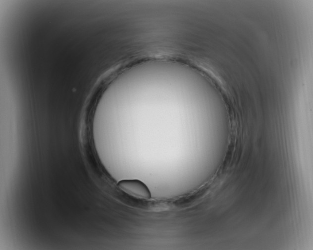 X0000099980587200805231025