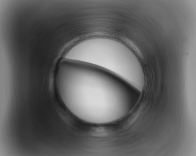 X0000099980588200805231025