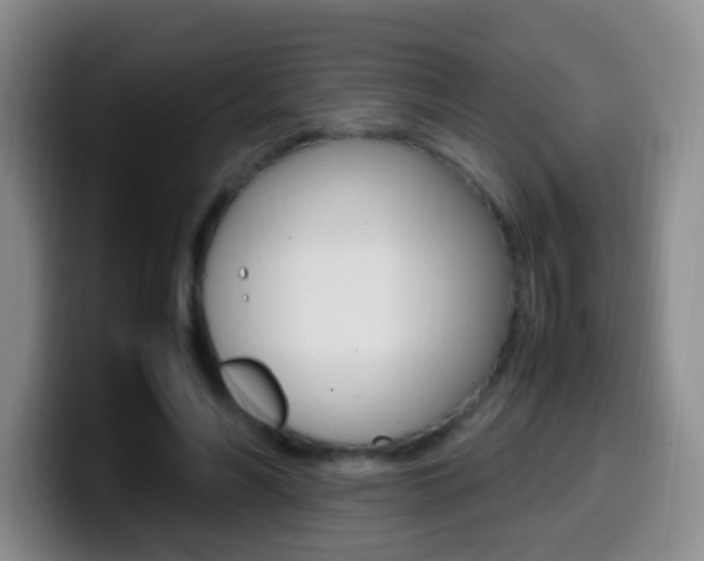 X0000099980590200805231025