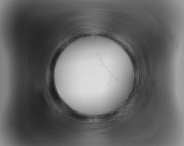 X0000099980591200805231025