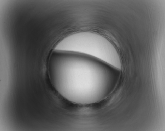 X0000099980593200805231025