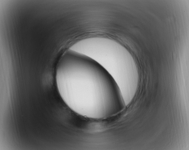X0000099980595200805231025