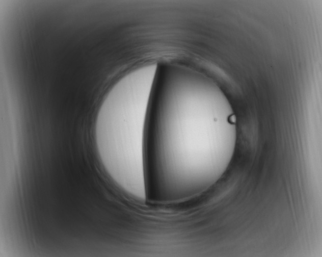X0000099980596200805231025