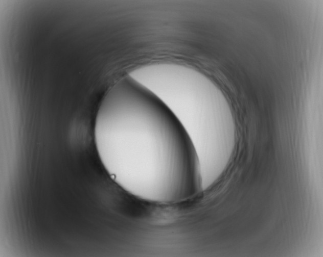 X0000099980599200805231025