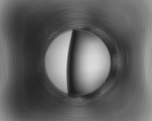 X0000099980600200805231025