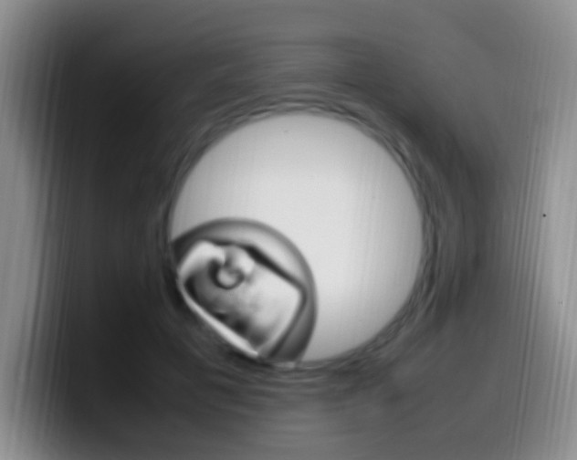 X0000099980601200805231025