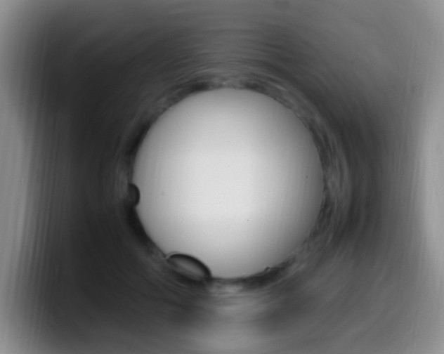 X0000099980602200805231025