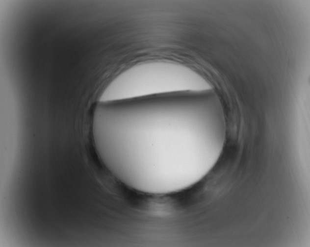 X0000099980603200805231025