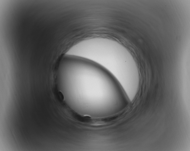 X0000099980605200805231025