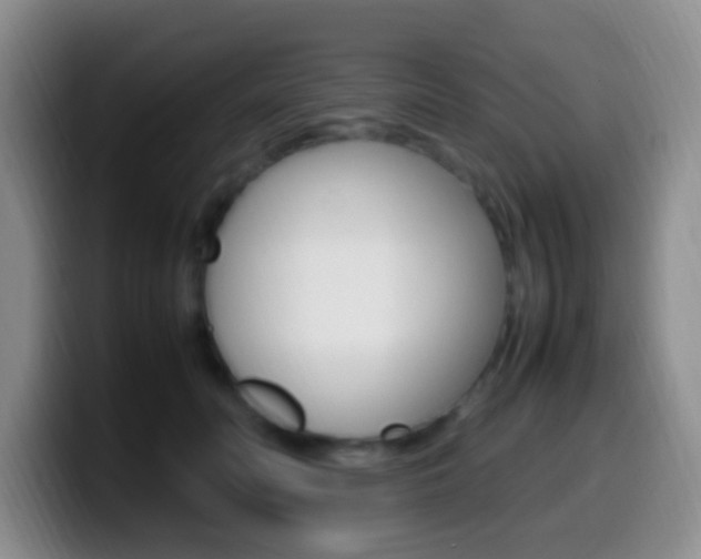 X0000099980606200805231025