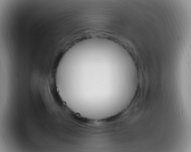 X0000099980607200805231024