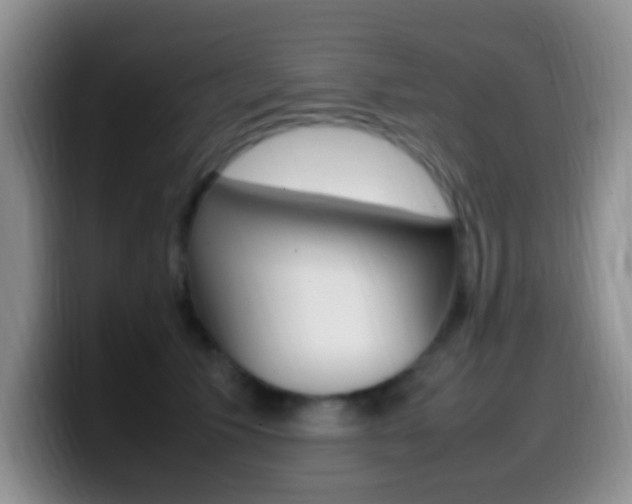 X0000099980609200805231024