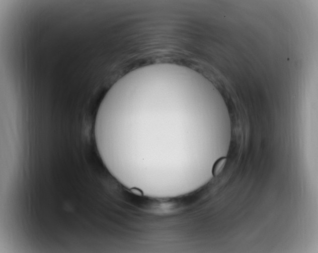 X0000099980610200805231024