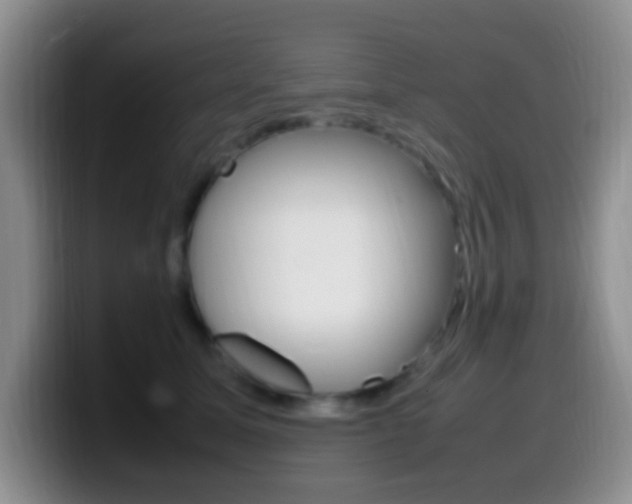 X0000099980611200805231024