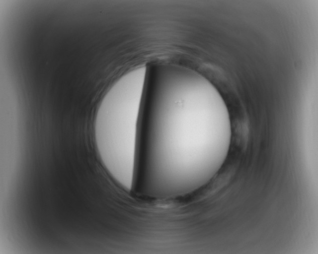 X0000099980612200805231024