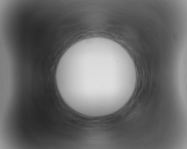 X0000099980613200805231024