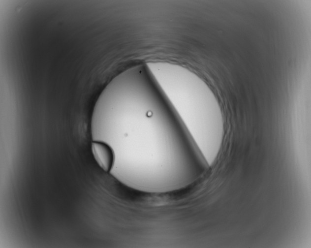 X0000099980615200805231024