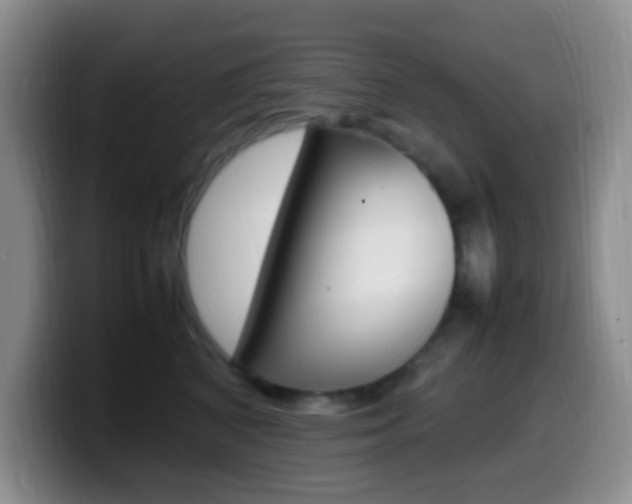X0000099980616200805231024